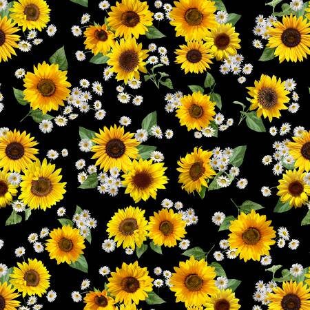 Advice From a Sunflower Black Sunflowers and Daisies Fabric - Timeless Treasures CD2924-BLACK, Sunflower and Daisy Floral Fabric By the Yard